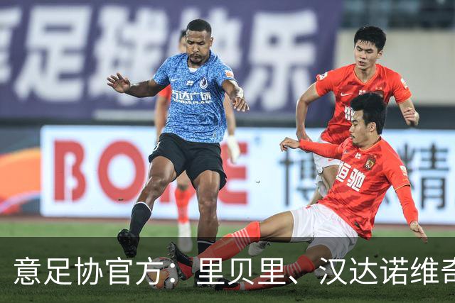 意足协官方：里贝里、汉达诺维奇，迪亚曼蒂等获欧足联职业教练证